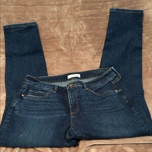 Loft Women’s Dark Blue Curvy Skinny Jeans, Size 30/10
